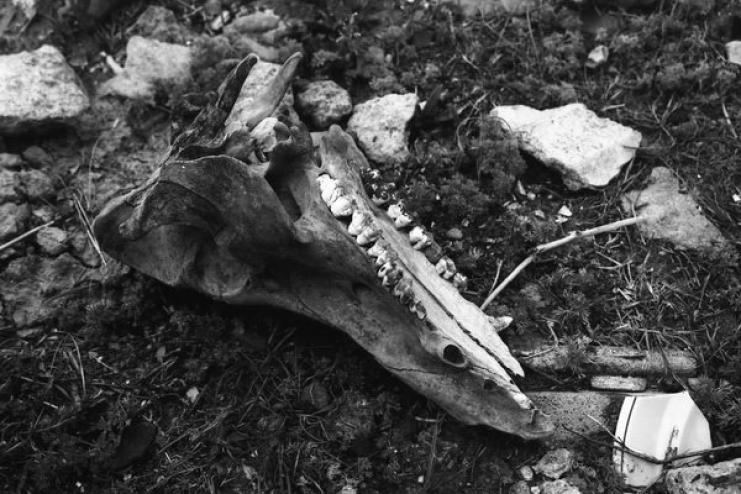 Фотопрогулка по родным местам: нынче здесь, завтра там.